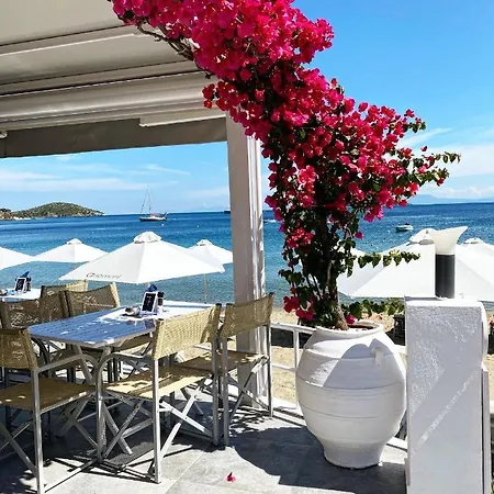 Hotel Anemoni