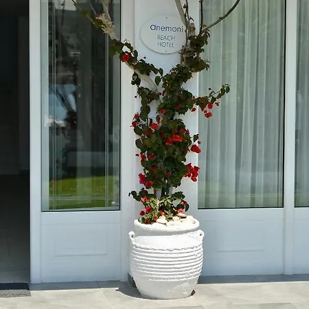 Anemoni 斯基亚索斯镇