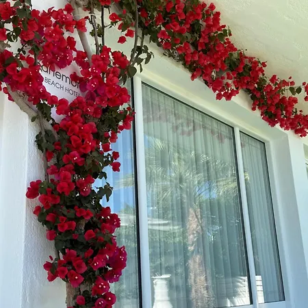 Hotel Anemoni Skiathos Chora