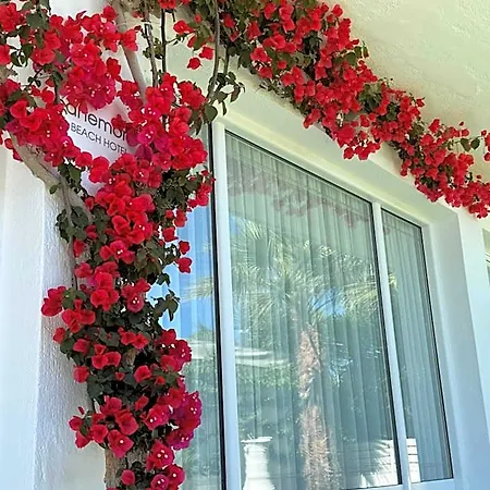 Anemoni Hotel Skiathos by