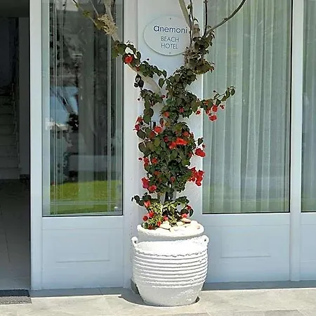 Anemoni 4* Skiathos Town