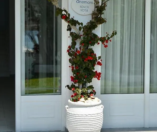 Anemoni Skiathos Town