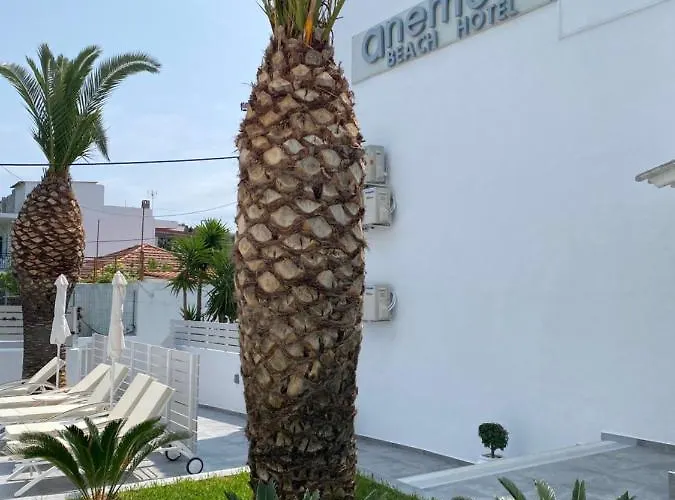 Anemoni Skiathos Town