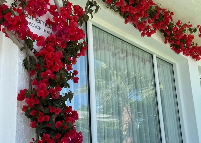 Hotel Anemoni Skiathos Town