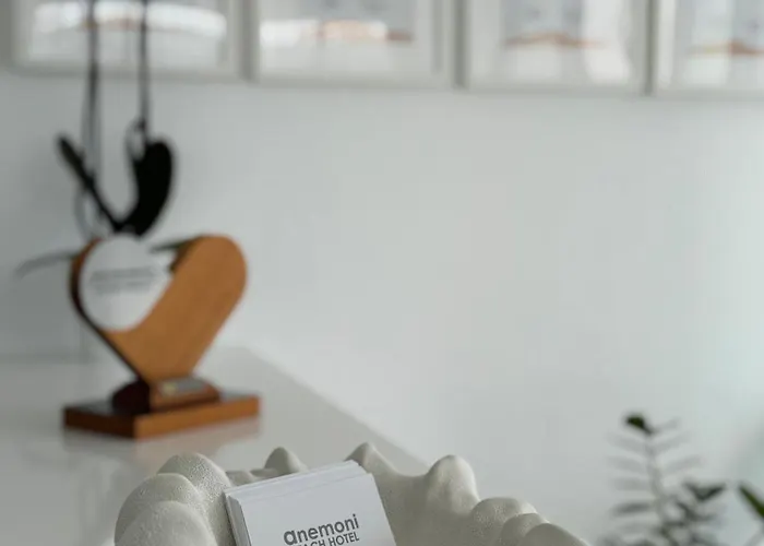 Hotel Anemoni Skiathos Town