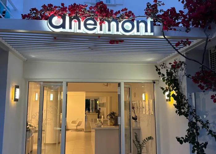 Hotel Anemoni Skiathos by